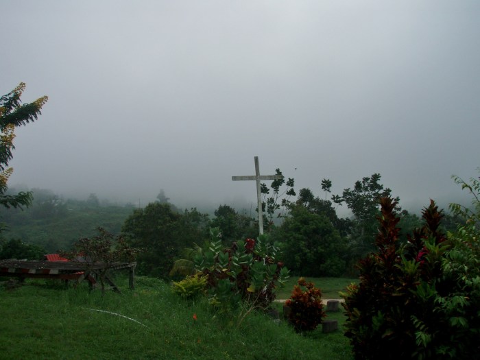 misty in the morning and the air is crisp