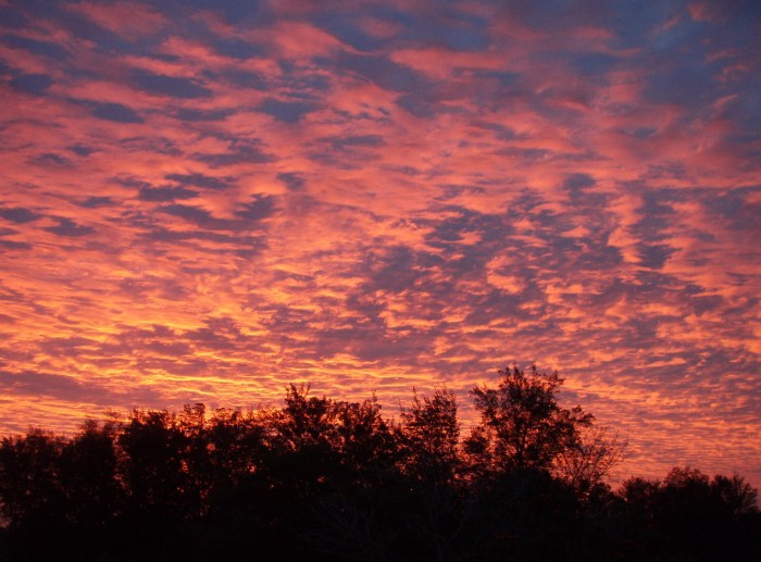 Every sunset brings the promise of a new dawn.   --- Ralph Waldo Emerson