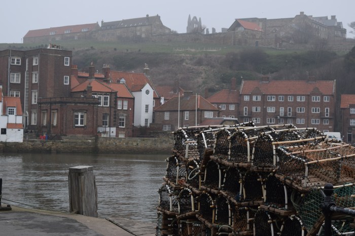 the sight that greeted me - one side of the bank