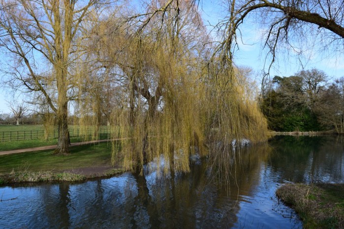grounds of The Vyne