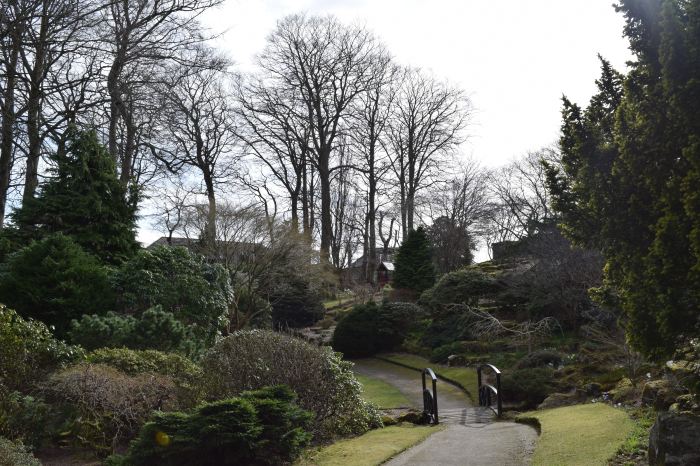 Johnston Garden in March