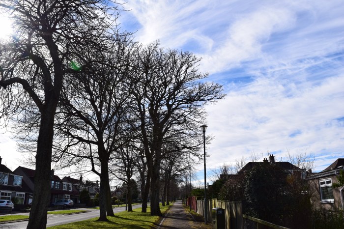 on our way back after a stroll in Johnston Garden I simply could not resist to snap a picture of the seldom seen beautiful blue sky on a glorious sunny day in Scotland in March