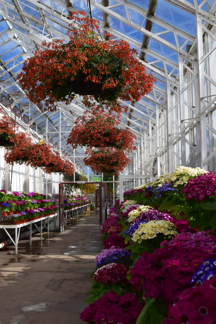 though it was sunny, it was still chilly so Corrina and I went to the winter garden to get some heat