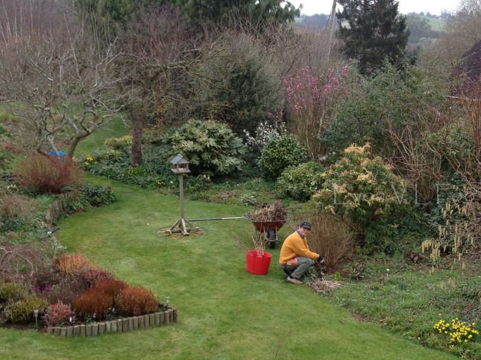 ha was all over the garden