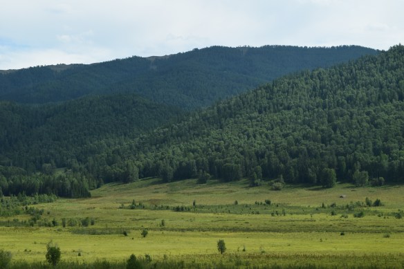 beautiful green pasture and mountains, what a difference from the barren Gobi Desert