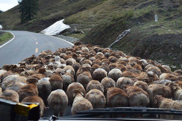 obstacles on the road!