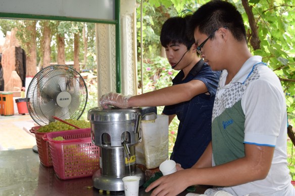 freshly squeezed grape juice, refreshing!