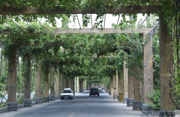 a long drive after the main gate and we drove past the local Uyghur villages before we got to the Grape Valley