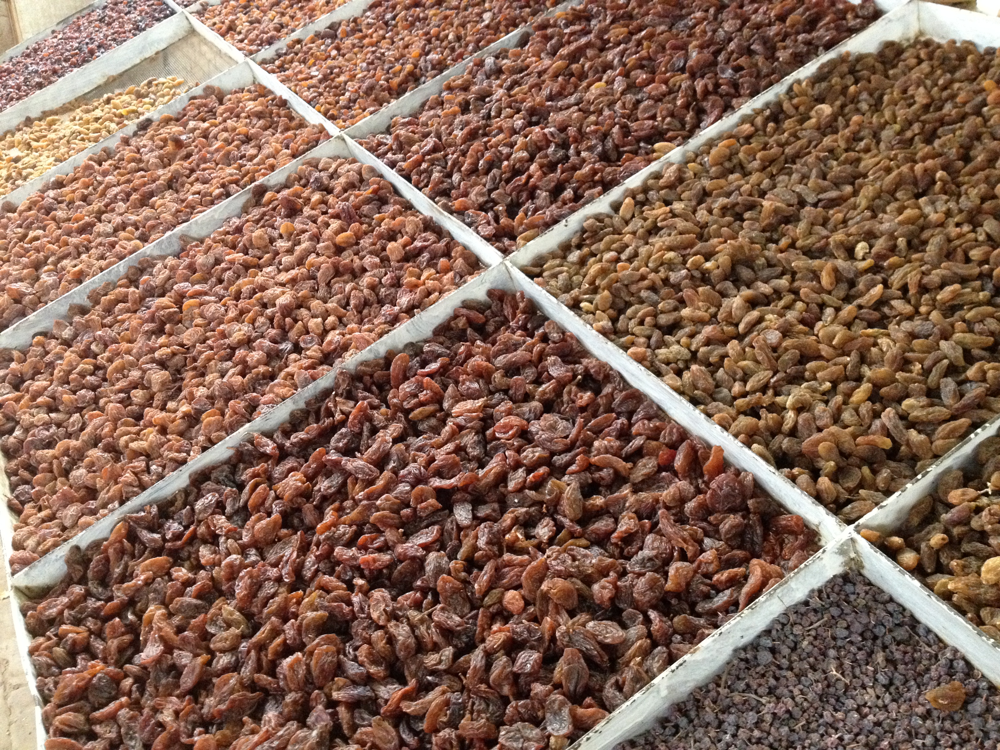 a variety of raisins taken at our guide's house when he invited us in for a short while after our tour had ended