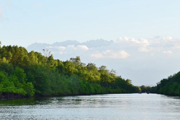 mangrove boat ride on Kawa Kawa River with Mt. Kinabalu in the foreground to search for proboscis monkeys