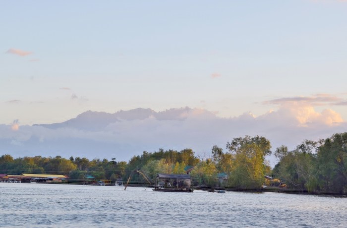 mongrove boat ride (6)