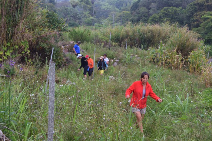 an unexpected adventure mesilau (2)