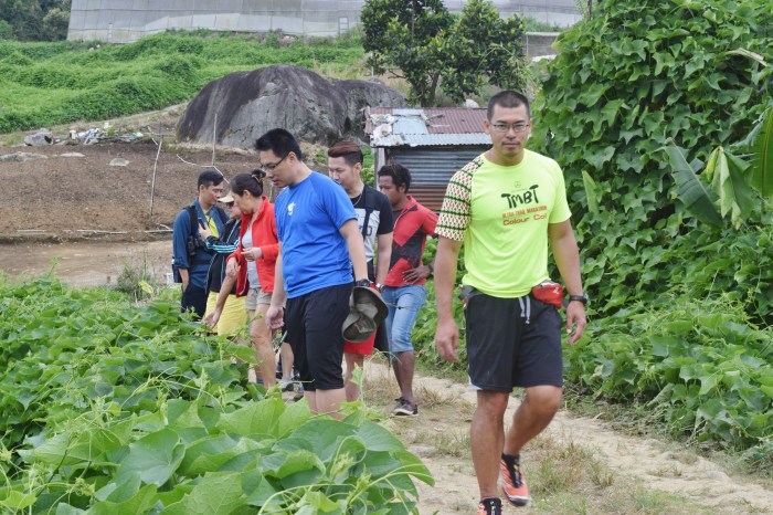 an unexpected adventure mesilau (4)