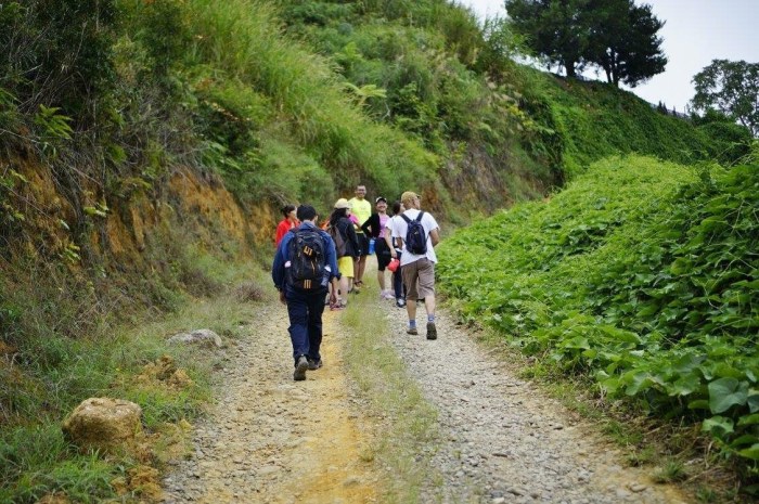 an unexpected adventure mesilau (5)