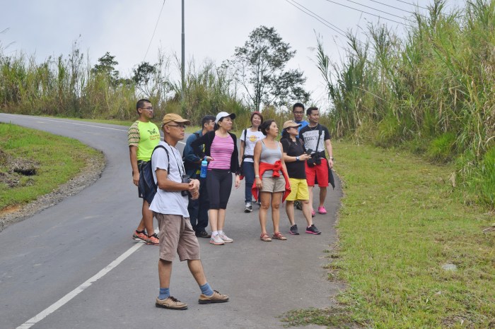 an unexpected adventure mesilau (9)