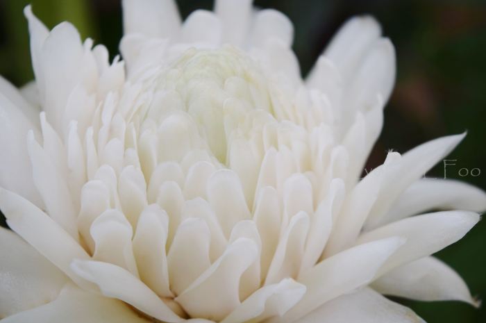 3-08 I am beautiful!