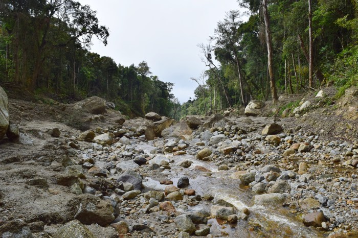 an unexpected adventure mesilau (34)