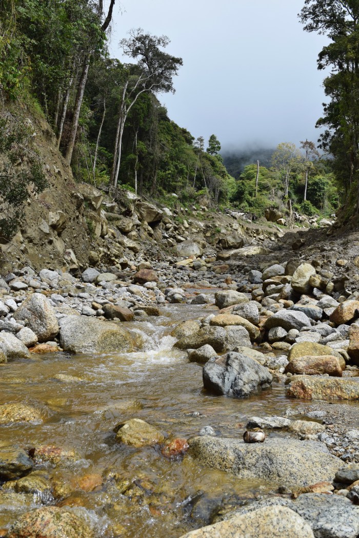 an unexpected adventure mesilau (35)