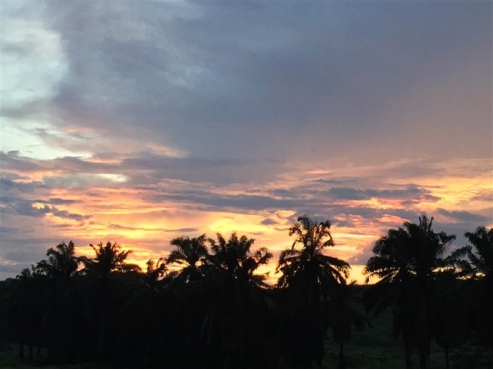 tabin wildlife reserve (11)