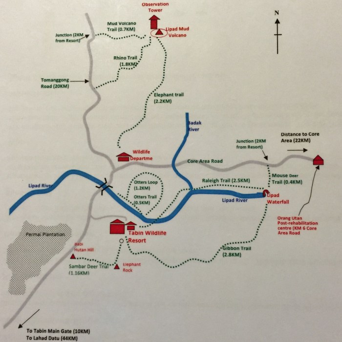 tabin wildlife reserve (13)