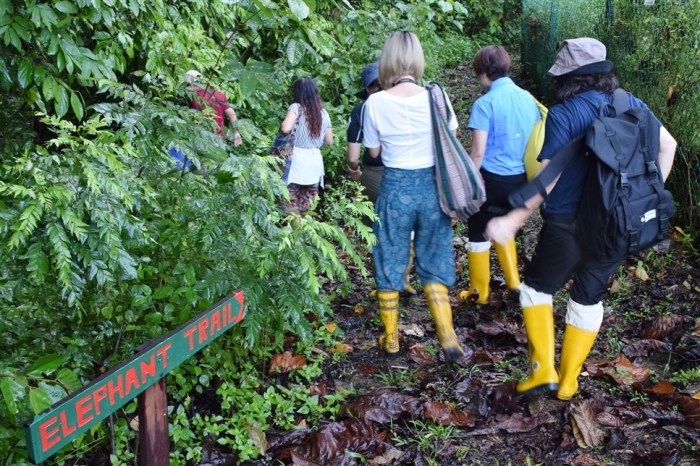 tabin wildlife reserve (14)