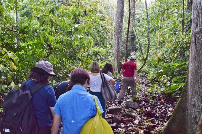 tabin wildlife reserve (15)