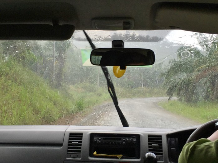 tabin wildlife reserve (1a)