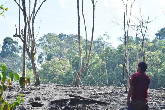 tabin wildlife reserve (22)