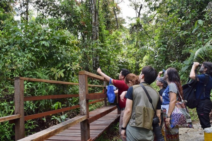 tabin wildlife reserve (25)