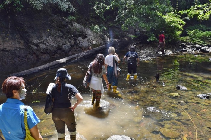 tabin wildlife reserve (26)