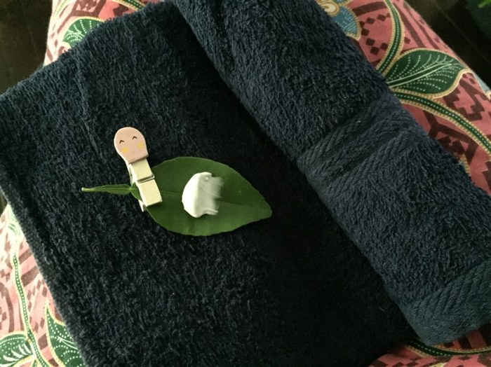 tabin wildlife reserve (29)