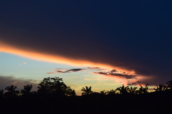 tabin wildlife reserve (33)