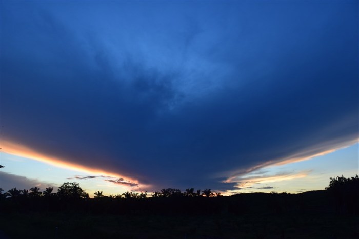 tabin wildlife reserve (34)