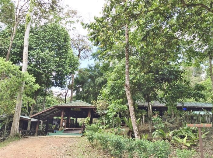 tabin wildlife reserve (4)