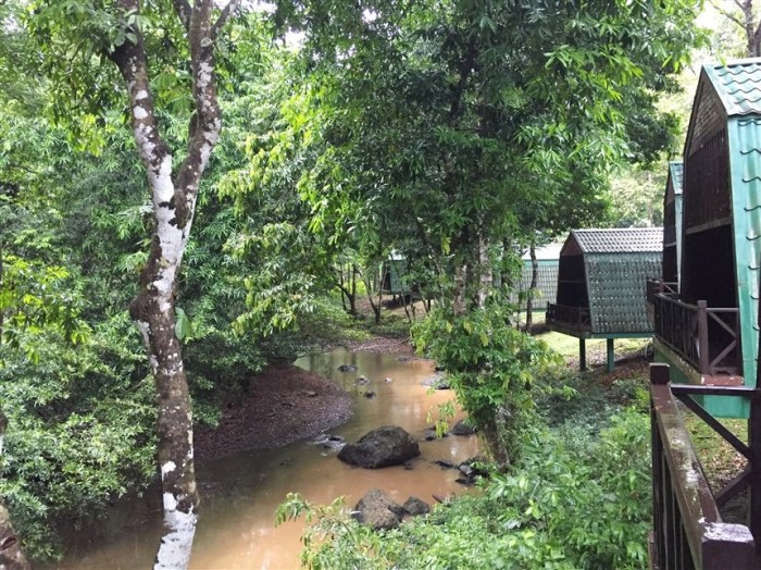 tabin wildlife reserve (6)