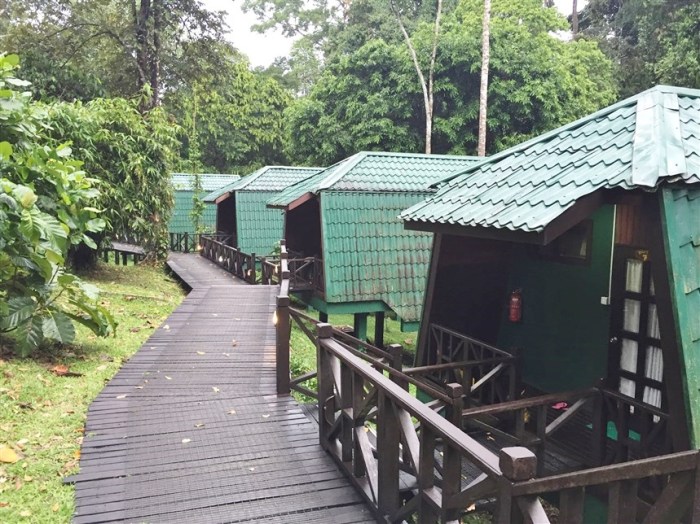 tabin wildlife reserve (7)