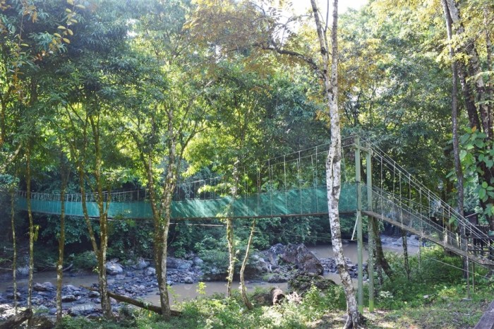 tabin wildlife reserve (8)