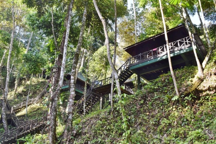 tabin wildlife reserve (9)