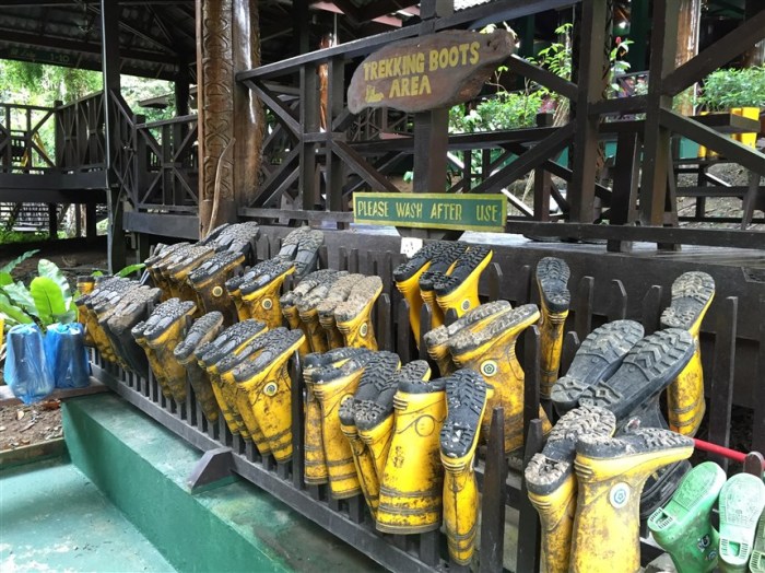 tabin wildlife reserve (9a)