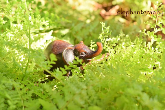 3 it's a jungle out here