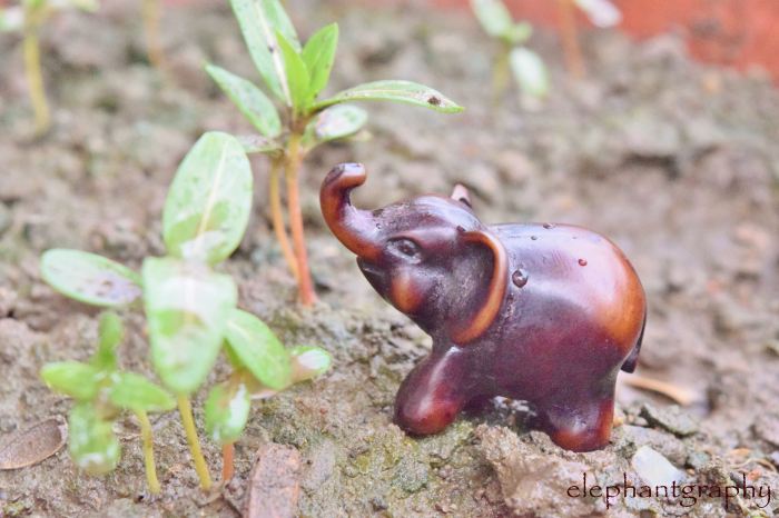 8 caught in the drizzle