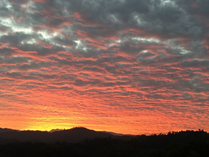 23.01.2016 morning 622am