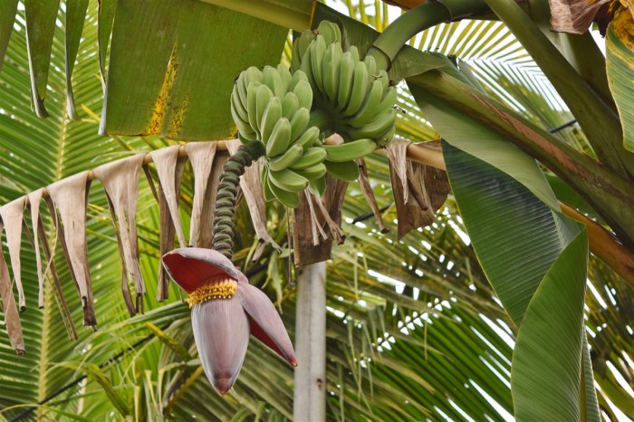 mission trip nabawan-tataluan day 1 (26)