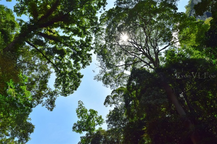 tataluan batu punggul river ride (13)