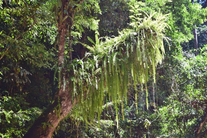 tataluan batu punggul river ride (3)