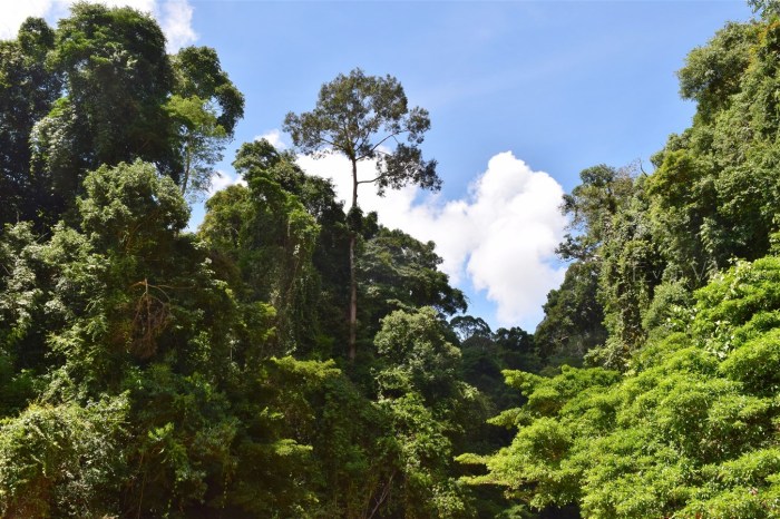 tataluan batu punggul river ride (4)