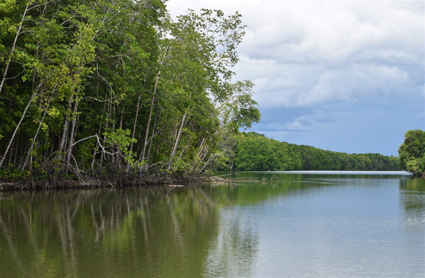 sukau kinabatangan (1)