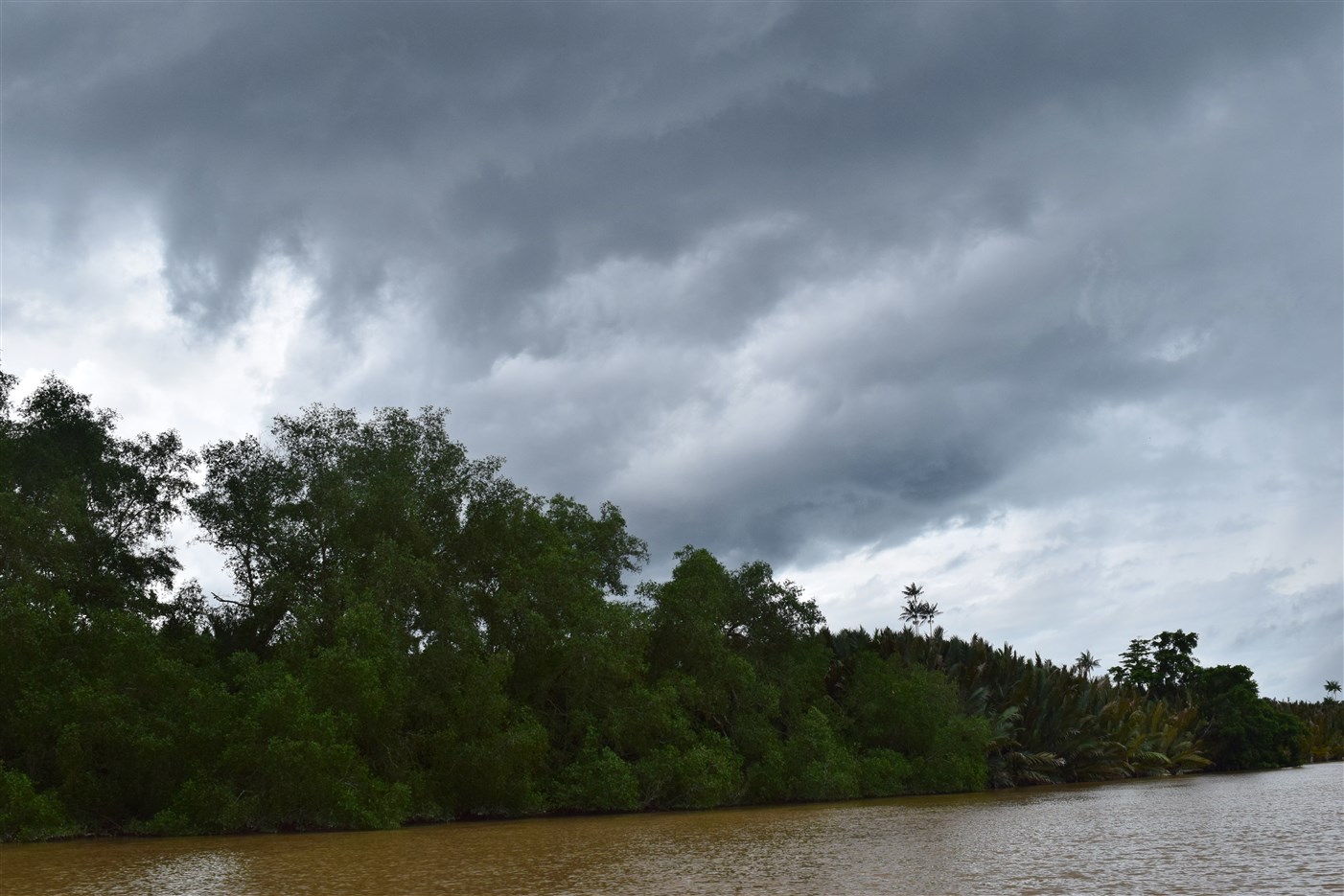 sukau kinabatangan (2)