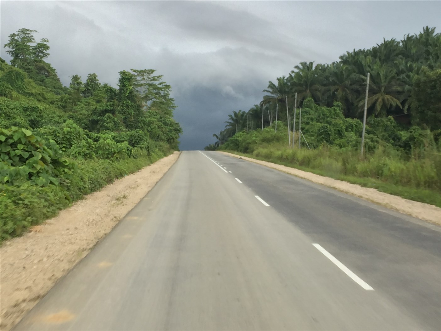 sukau kinabatangan (31)