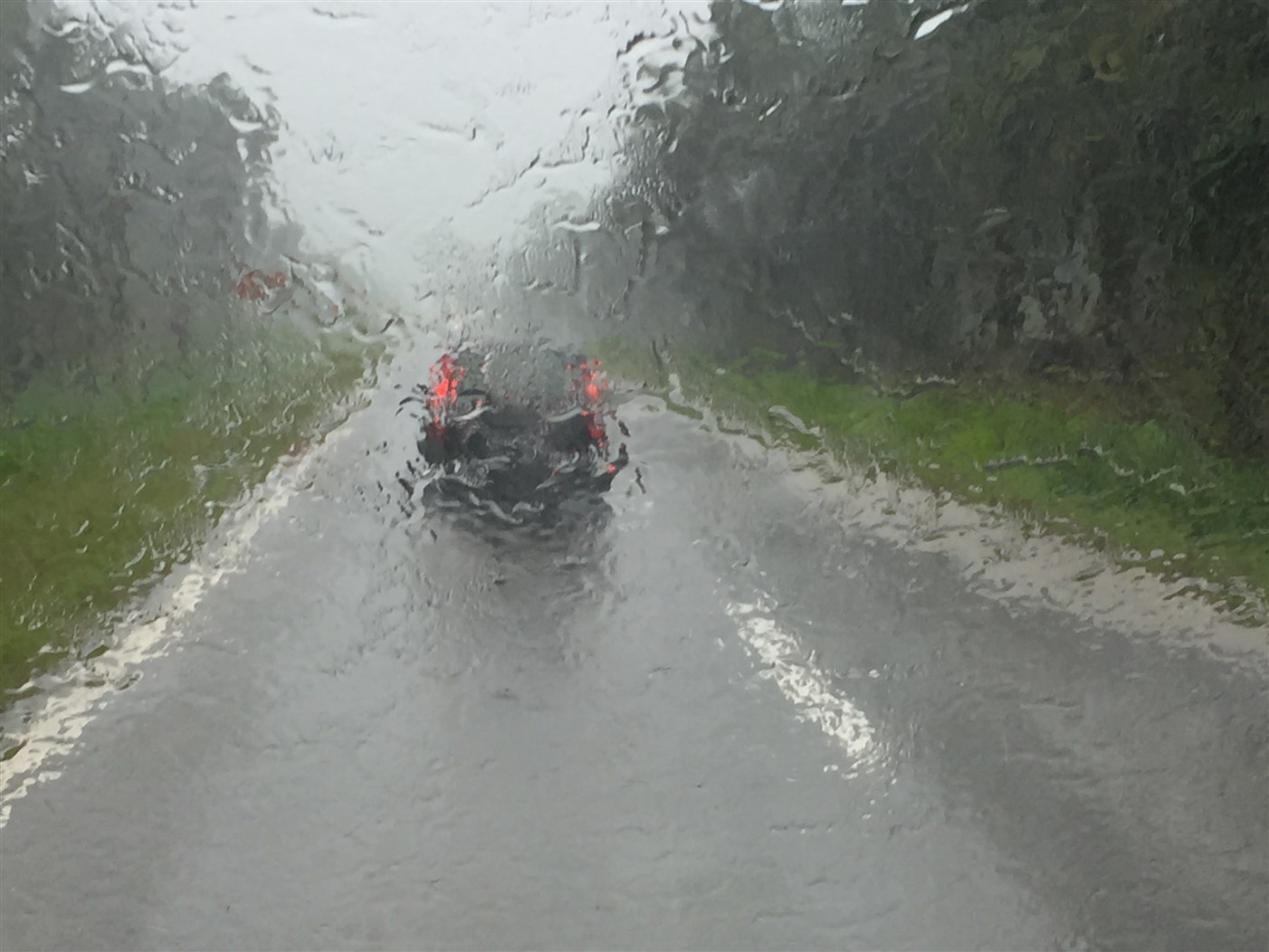 sukau kinabatangan (32)